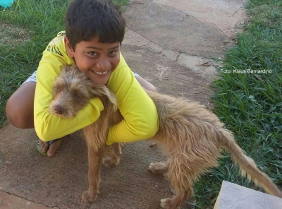 Cães e gatos fazem parte da família, SIM!