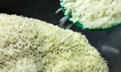 Pacote de 5 kg de arroz tem variação de 71%, aponta pesquisa do Procon
