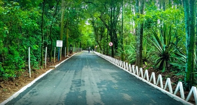 Homem morre durante exercícios no bosque municipal em Marília