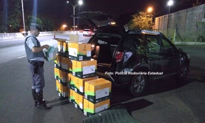 Homens são detidos em Marília transportando agrotóxicos falsificados