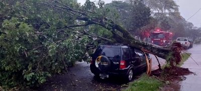 Temporal causa estragos em Marília e região