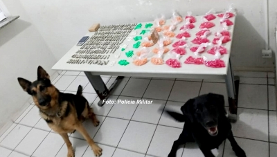 Canil apreende grande quantidade de drogas na zona sul de Marília