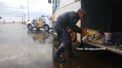Polícia Rodoviária apreende 8,5 kg de maconha