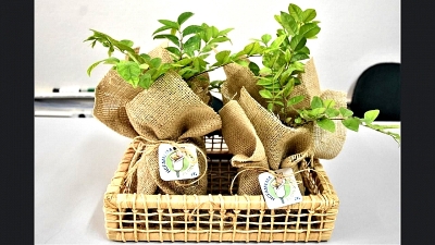 Mudas de árvores frutíferas são entregues às famílias de recém-nascidos em Marília