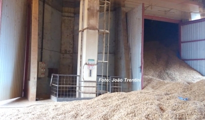 Trabalhador morre ao ser soterrado por carga de amendoim, na região