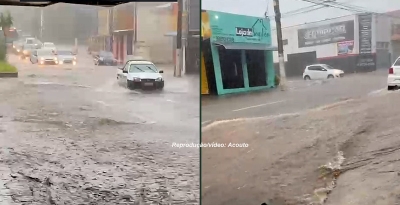 Temporal provoca alagamentos e queda de árvores em Marília