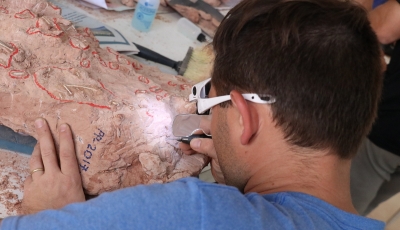 Cientistas da Argentina e EUA trabalham em  novas descobertas do Museu de Marília