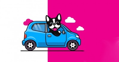 Estratégias para a busca inteligente dos carros mais baratos do Brasil