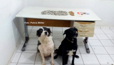 "Patrícia" e "Pretinha" dão dor de cabeça para traficantes em Marília