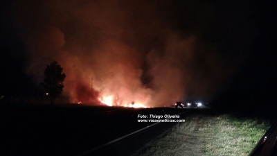 Número de queimadas sobe 40% no primeiro semestre