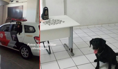 PM apreende grande quantidade de droga na zona norte. Na zona Sul, rapaz se esconde em banheiro
