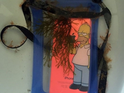 Celular é achado após cinco meses no fundo do mar