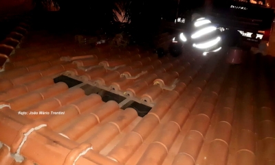 Maritacas quase provocam incêndio numa casa, na região