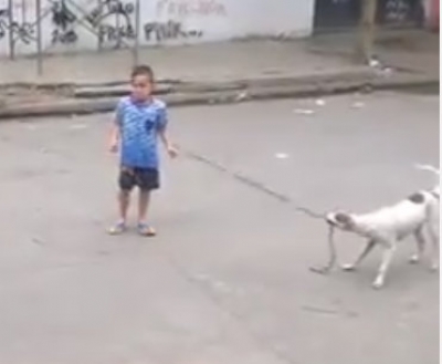 Cadela brinca com corda e crianças em favela
