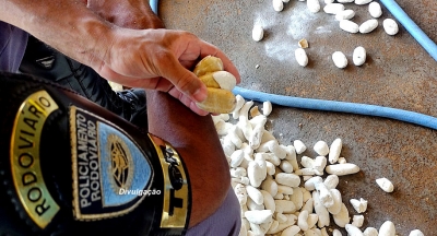 Criatividade: traficantes escondem droga em batatas secas