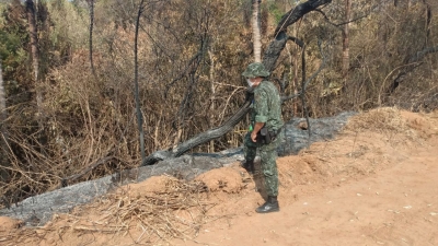 Proprietário rural leva multa de R$ 195 mil por queimada em Bastos