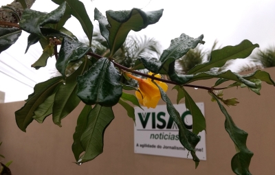 Último fim de semana do inverno será de muita chuva em Marília e região
