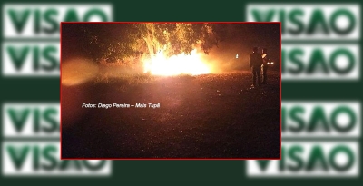 Motorista morre carbonizado após colidir contra árvore na SP-294 