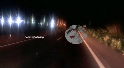 Corpo de pessoa atropelada na SP-294 em Marília é de rapaz desaparecido