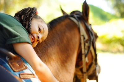 Senado aprova regulamentação da terapia com cavalos como método de reabilitação