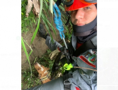 Filhote de pitbul cai em itambé e é salvo pelos Bombeiros em Marília