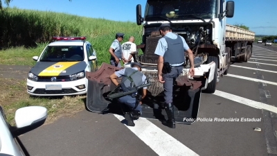 Polícia Rodoviária apreende cocaína e maconha na SP-294