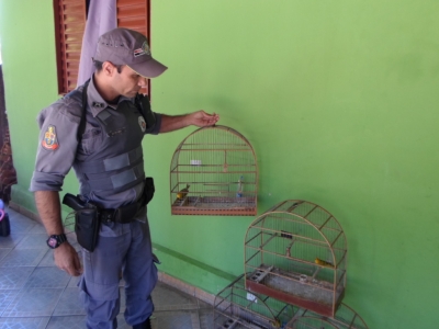 Polícia Ambiental resgata pássaros em Oriente