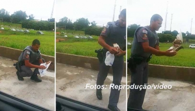 PM salva pomba enroscada em sacola plástica