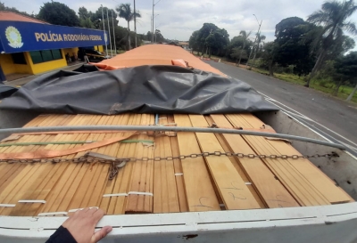 PRF e Ambiental apreendem carregamento ilegal de madeira em Marília