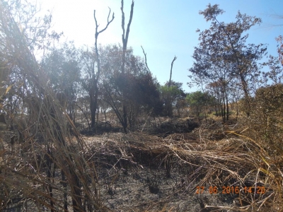 Satélite ajuda Polícia Ambiental a localizar queimadas