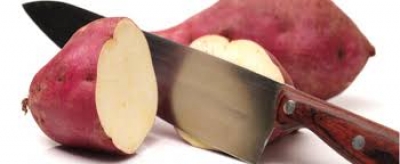 Benefícios da batata doce para emagrecer e ganhar massa muscular