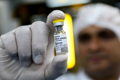 Ministério da Saúde alerta para vacinação contra febre amarela