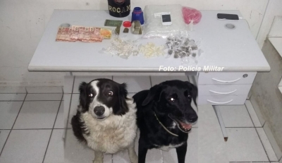 Operação da PM encontra droga escondida até em geladeira