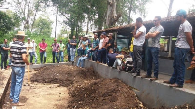 Lixo: Faculdade produz adubo, gera renda e forma profissionais mais conscientes