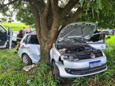 Casal morre e criança de 9 anos fica ferida após carro bater em árvore