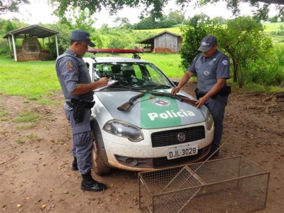 Polícia apreende armas e armadilha para caça