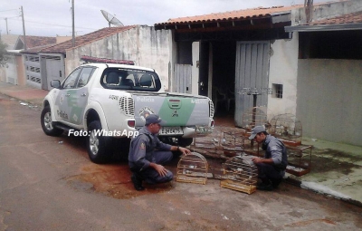 Homem é multado em R$ 22 mil por manter aves em cativeiro