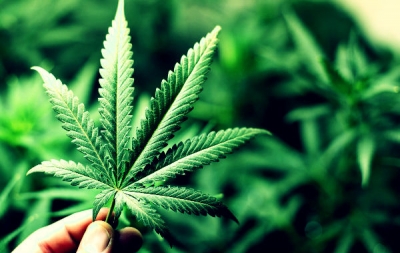 Descriminalizar uso de drogas pode elevar o poder do tráfico