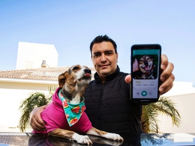 Empresário cria aplicativo para adoção responsável de pets em todo o país