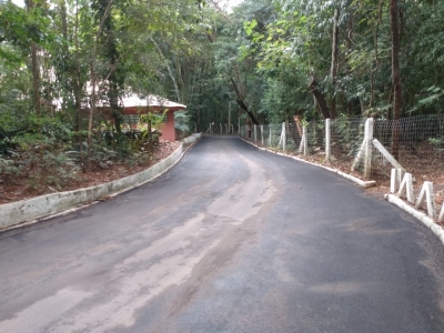 Bosque Municipal reabre nesta quarta-feira exclusivamente para atividades físicas