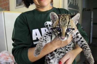ONG e concessionária se unem para revitalizar 