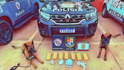 Operação da PM, Polícia Civil e apoio K9 apreende drogas na região