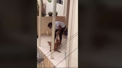 Mulher agride cadela, vizinha registra e imagem gera revolta nas redes sociais