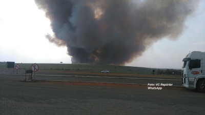 Incêndio em canavial quase atinge granja 