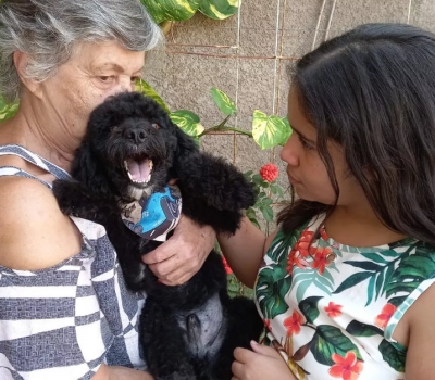 Cão resgatado após ser amarrado em sacola e jogado dentro de bueiro ganha novo lar