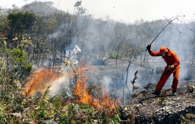 SP Sem Fogo: atenção redobrada para o risco de incêndios florestais