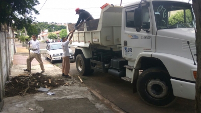 Ação de combate à leishmaniose recolhe oito toneladas de orgânicos em quatro dias
