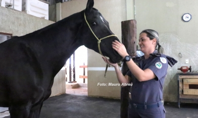 Ampliação da Equoterapia em Marília atinge 80% das obras 