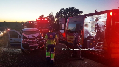 Animal na pista causa grave acidente. Airbag salva as vítimas