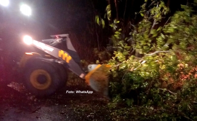 Temporal derruba árvores, poste e interdita vicinal